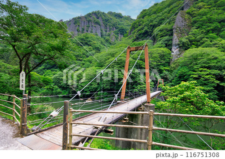 〈島根県〉立久恵峡にかかる不老橋 〈島根県〉立久恵峡にかかる不老橋 116751308