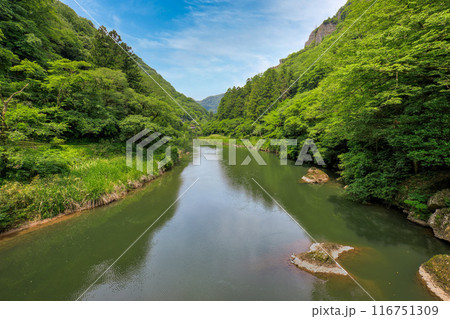 〈島根県〉立久恵峡　神戸川の清流 116751309