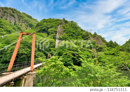 〈島根県〉立久恵峡にかかる不老橋 〈島根県〉立久恵峡にかかる不老橋 116751311