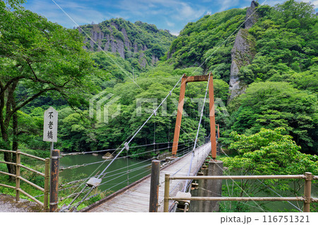 〈島根県〉立久恵峡にかかる不老橋 116751321