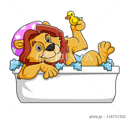 Cute lion Bathing In Baathtub with rubber bath duck of illustration 116751502