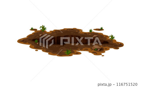 Dirty pit and burrow, deep ground hole. Isolated cartoon vector natural gap in garden or forest, surrounded by patches of dirt and small plants. Muddy break, split or dig with uneven edges and stones 116751520