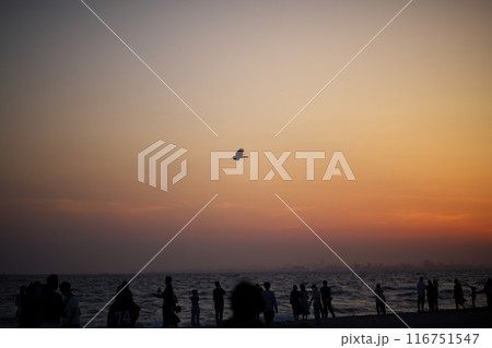夕暮れの空を飛ぶ烏 116751547