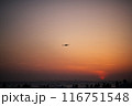 夕暮れの空を飛ぶ烏 116751548