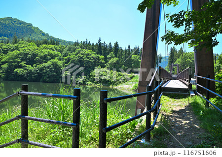 初夏の大源太キャニオン　湖・鉄橋の風景　新潟県湯沢町　 116751606