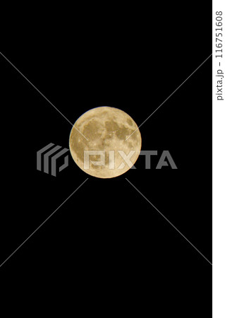 夜空に浮かぶ満月 夜空に浮かぶ満月 116751608