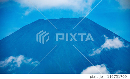 夏　富士山の雄姿と朝霧高原の絶景 116751709