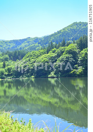 初夏の大源太湖　静寂な湖畔の風景　新潟県湯沢町　 116751905