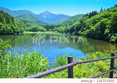 初夏の大源太湖　大源太山　静寂な湖畔の風景　新潟県湯沢町　 116751928