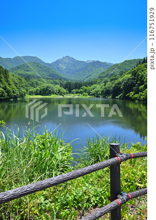 初夏の大源太湖　大源太山　静寂な湖畔の風景　新潟県湯沢町　 116751929