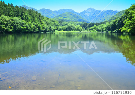 初夏の大源太湖　大源太山　静寂な湖畔の風景　新潟県湯沢町　 116751930