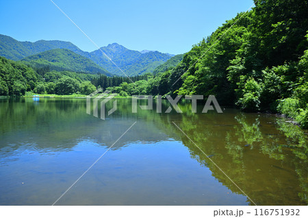 初夏の大源太湖　大源太山　静寂な湖畔の風景　新潟県湯沢町　 116751932