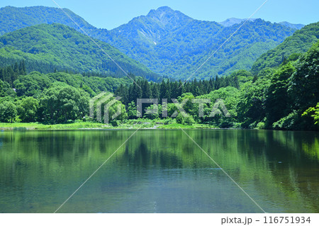 初夏の大源太湖　大源太山　静寂な湖畔の風景　新潟県湯沢町　 116751934