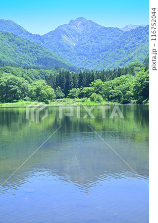 初夏の大源太湖 大源太山 静寂な湖畔の風景 新潟県湯沢町 初夏の大源太湖 大源太山 静寂な湖畔の風景 新潟県湯沢町 116752044