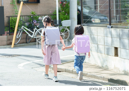 登下校する女の子の後ろ姿 116752071
