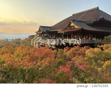 清水寺から望む秋の清水の夕景 116752103