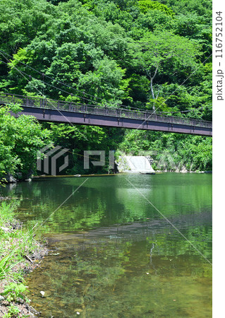 初夏の大源太キャニオン　湖畔の風景　新潟県湯沢町　 116752104