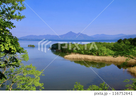 鬼沼からの猪苗代湖と磐梯山（福島県郡山市・湖南町） 116752641