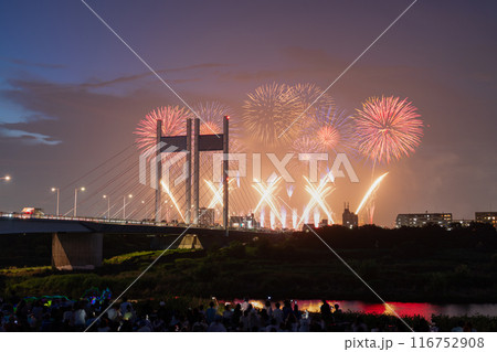 《東京都》打上花火と是政橋・TOKYOシティポップ花火 《東京都》打上花火と是政橋・TOKYOシティポップ花火 116752908