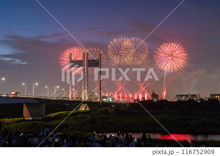 《東京都》打上花火と是政橋・TOKYOシティポップ花火 《東京都》打上花火と是政橋・TOKYOシティポップ花火 116752909