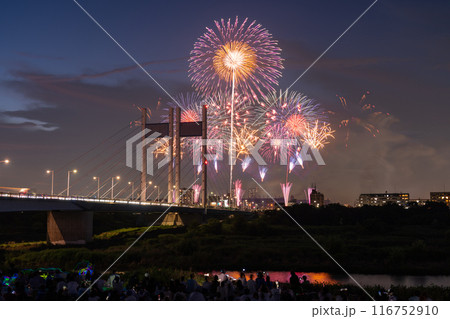 《東京都》打上花火と是政橋・TOKYOシティポップ花火 《東京都》打上花火と是政橋・TOKYOシティポップ花火 116752910