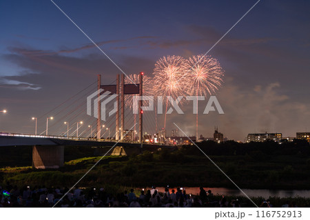 《東京都》打上花火と是政橋・TOKYOシティポップ花火 116752913