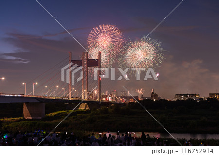 《東京都》打上花火と是政橋・TOKYOシティポップ花火 《東京都》打上花火と是政橋・TOKYOシティポップ花火 116752914