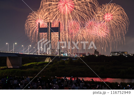 《東京都》打上花火と是政橋・TOKYOシティポップ花火 116752949