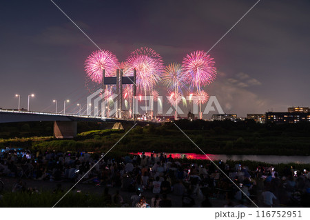 《東京都》打上花火と是政橋・TOKYOシティポップ花火 《東京都》打上花火と是政橋・TOKYOシティポップ花火 116752951