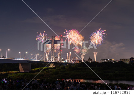 《東京都》打上花火と是政橋・TOKYOシティポップ花火 《東京都》打上花火と是政橋・TOKYOシティポップ花火 116752955