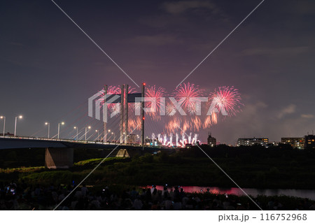《東京都》打上花火と是政橋・TOKYOシティポップ花火 《東京都》打上花火と是政橋・TOKYOシティポップ花火 116752968