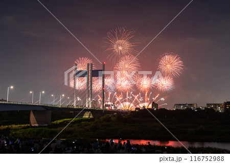 《東京都》打上花火と是政橋・TOKYOシティポップ花火 《東京都》打上花火と是政橋・TOKYOシティポップ花火 116752988