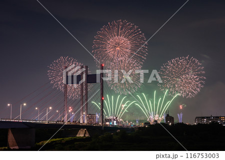《東京都》打上花火と是政橋・TOKYOシティポップ花火 116753003