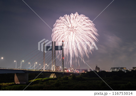 《東京都》打上花火と是政橋・TOKYOシティポップ花火 《東京都》打上花火と是政橋・TOKYOシティポップ花火 116753014