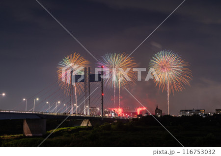 《東京都》打上花火と是政橋・TOKYOシティポップ花火 《東京都》打上花火と是政橋・TOKYOシティポップ花火 116753032