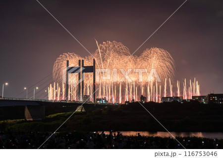 《東京都》打上花火と是政橋・TOKYOシティポップ花火 116753046