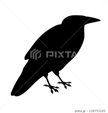 Bird Raven Crow Black Silhouette for Icon. Bird Raven Crow Black Silhouette for Icon. 116753105