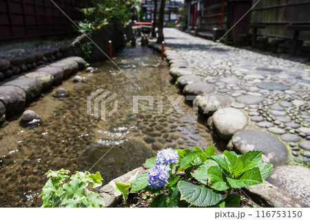 【郡上八幡】やなか水のこみち 116753150