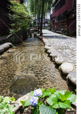 【郡上八幡】やなか水のこみち 【郡上八幡】やなか水のこみち 116753152