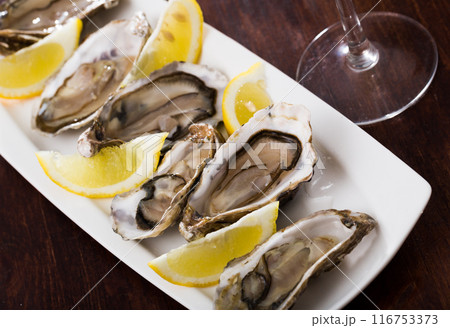 Raw oysters 116753373