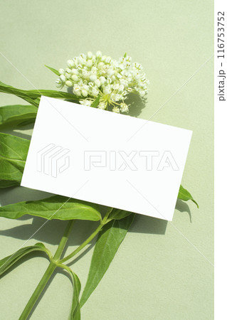 Flowers and business card mock-up, frame 116753752