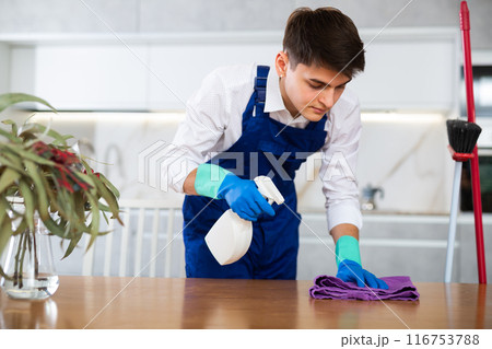 Professional cleaner cleans and dusts the furniture in room 116753788