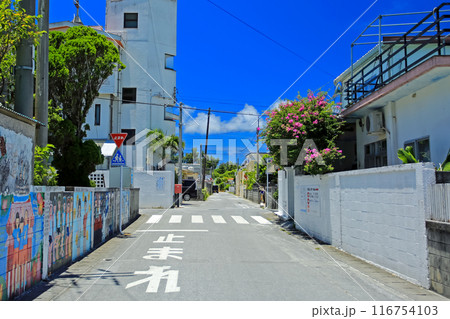 沖縄 慶良間諸島 渡嘉敷島の風景 阿波連集落 沖縄 慶良間諸島 渡嘉敷島の風景 阿波連集落 116754103