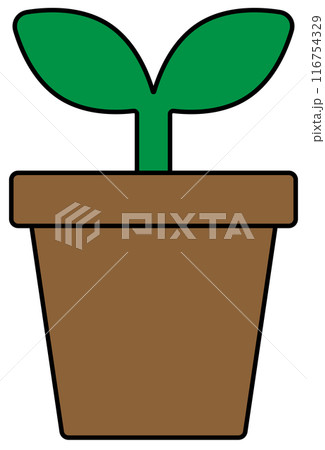 双葉の新芽 116754329