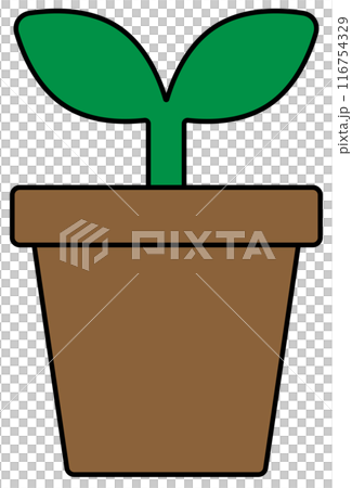 双葉の新芽 116754329