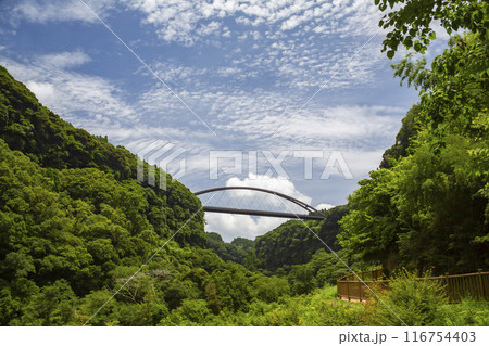 鹿児島 瀧見大橋 鹿児島 瀧見大橋 116754403