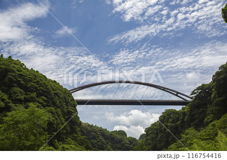 鹿児島 瀧見大橋 鹿児島 瀧見大橋 116754416