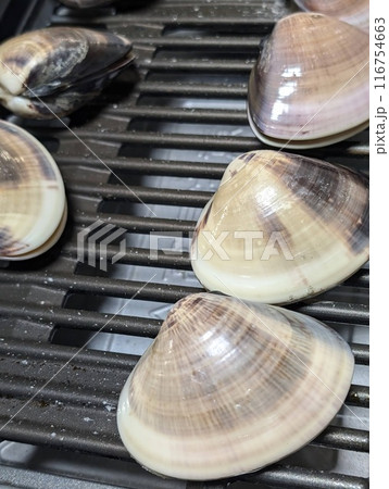 新鮮なハマグリを焼く 新鮮なハマグリを焼く 116754663