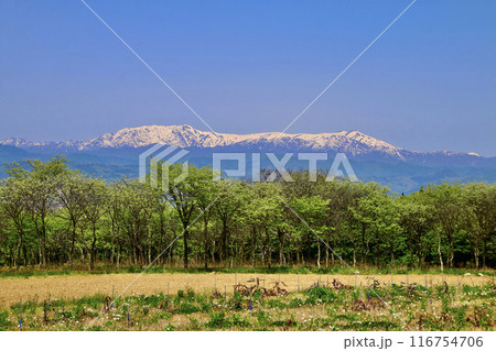 恋人坂からの飯豊山（福島県・喜多方市） 116754706