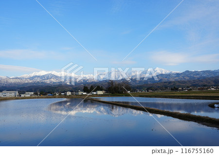 水田に映り込む富山県立山町から望む立山連峰 水田に映り込む富山県立山町から望む立山連峰 116755160